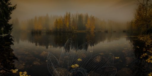 The Power of Visualization