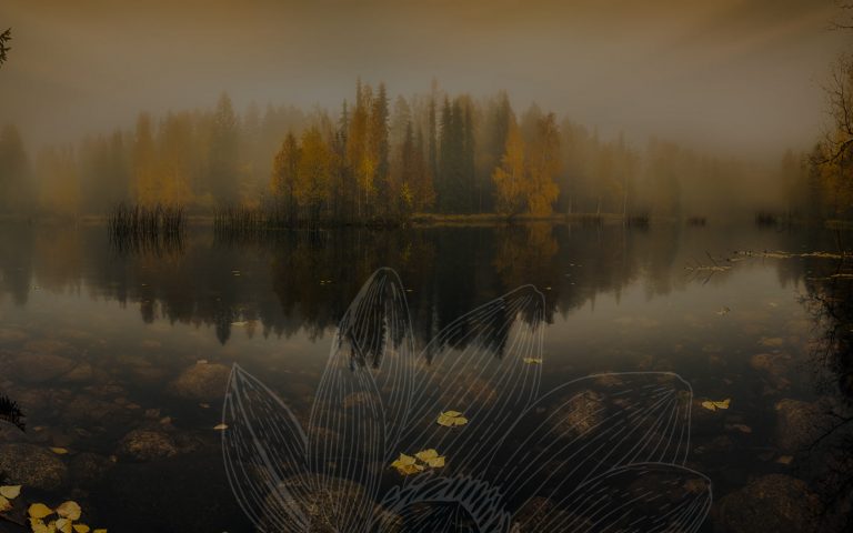 The Power of Visualization