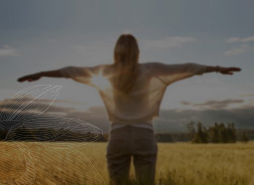 Follow the Breadcrumbs