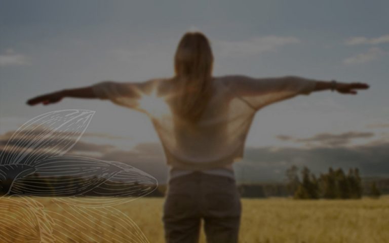 Follow the Breadcrumbs