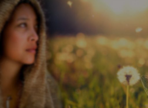 The Face Behind the Site