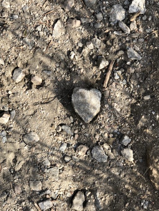 For the Love of Books