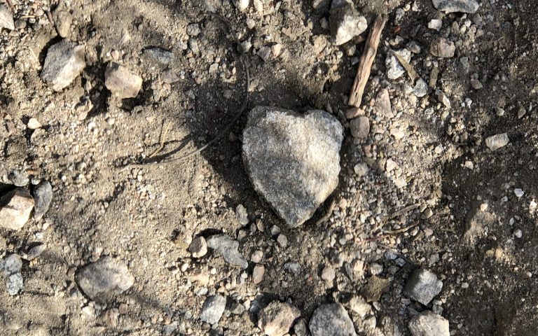 For the Love of Books