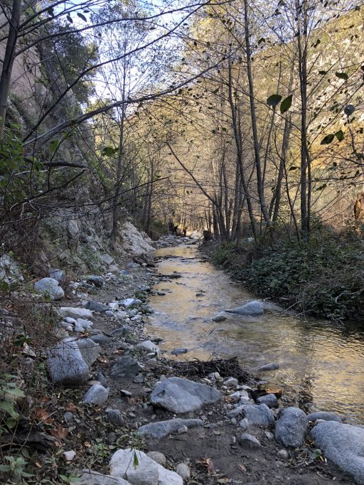 Patience & Perseverance