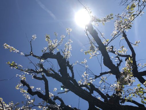 A Note to My Younger Self