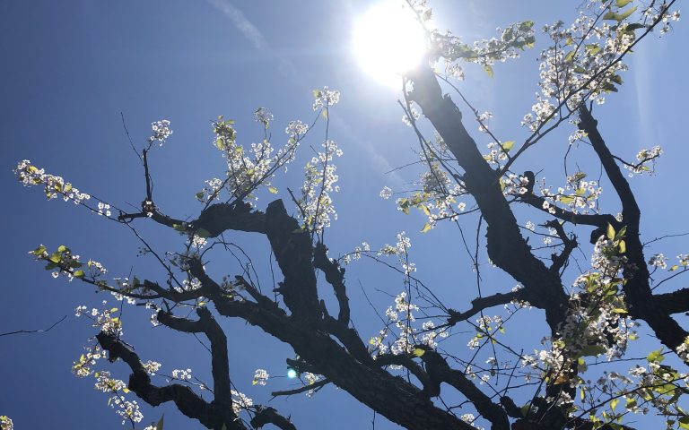 A Note to My Younger Self